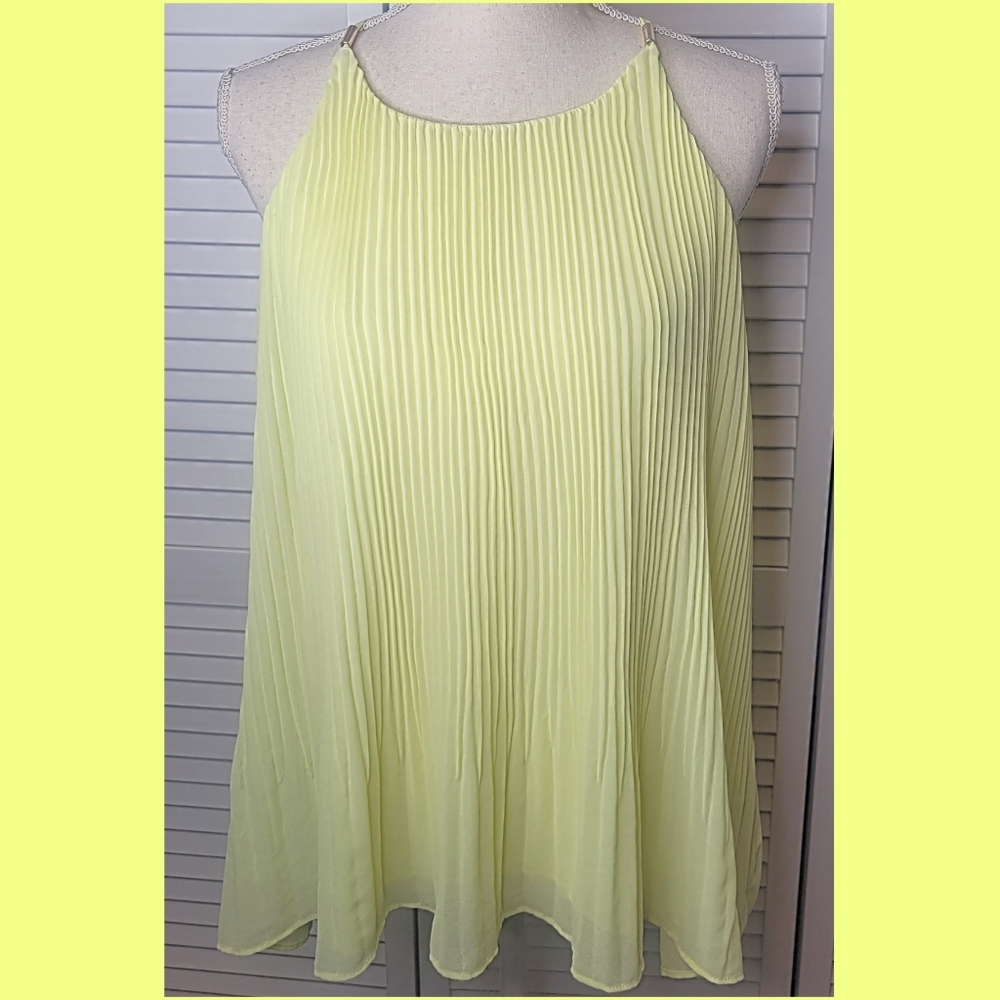 Thali Sodi Pleated Tank Top with Keyhole Back in Pear Passion size large